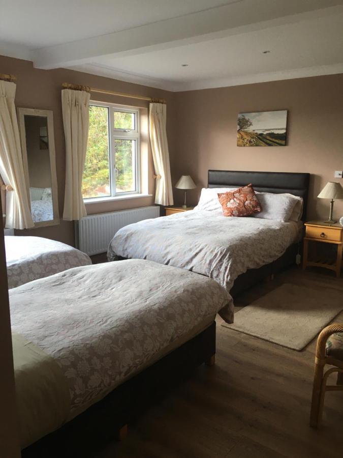 Bed and Breakfast Atlantic View Клифден Экстерьер фото